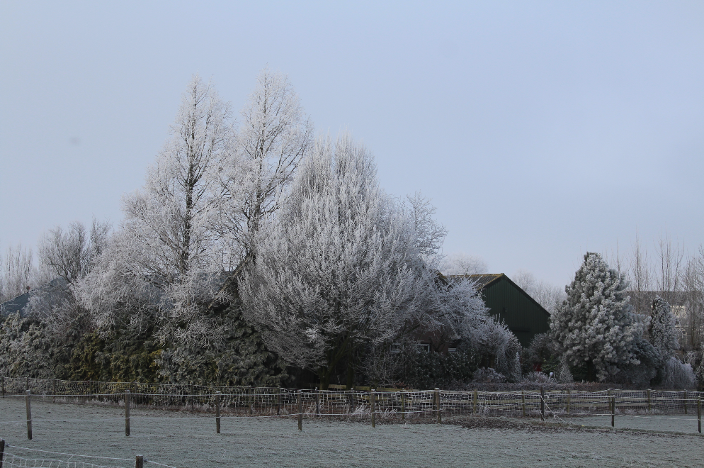 mauritshoeve_winter